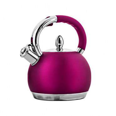 Palm Treo Pro Unlocked Phone with 2 MP Camera